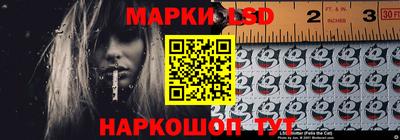 крисы Аргун