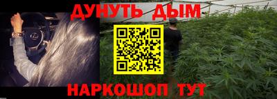 крисы Аргун